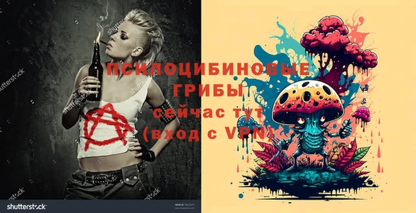 a pvp Армянск