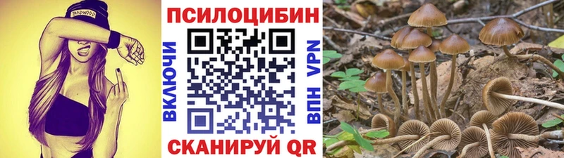 Галлюциногенные грибы MAGIC MUSHROOMS цены наркотик Константиновск